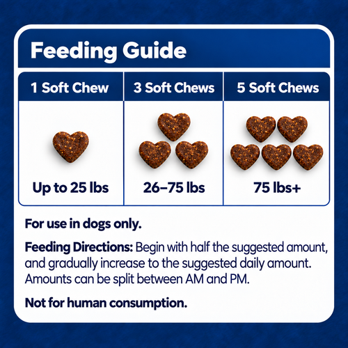 Add Years to Your Dog's Life with Hip & Joint Bites