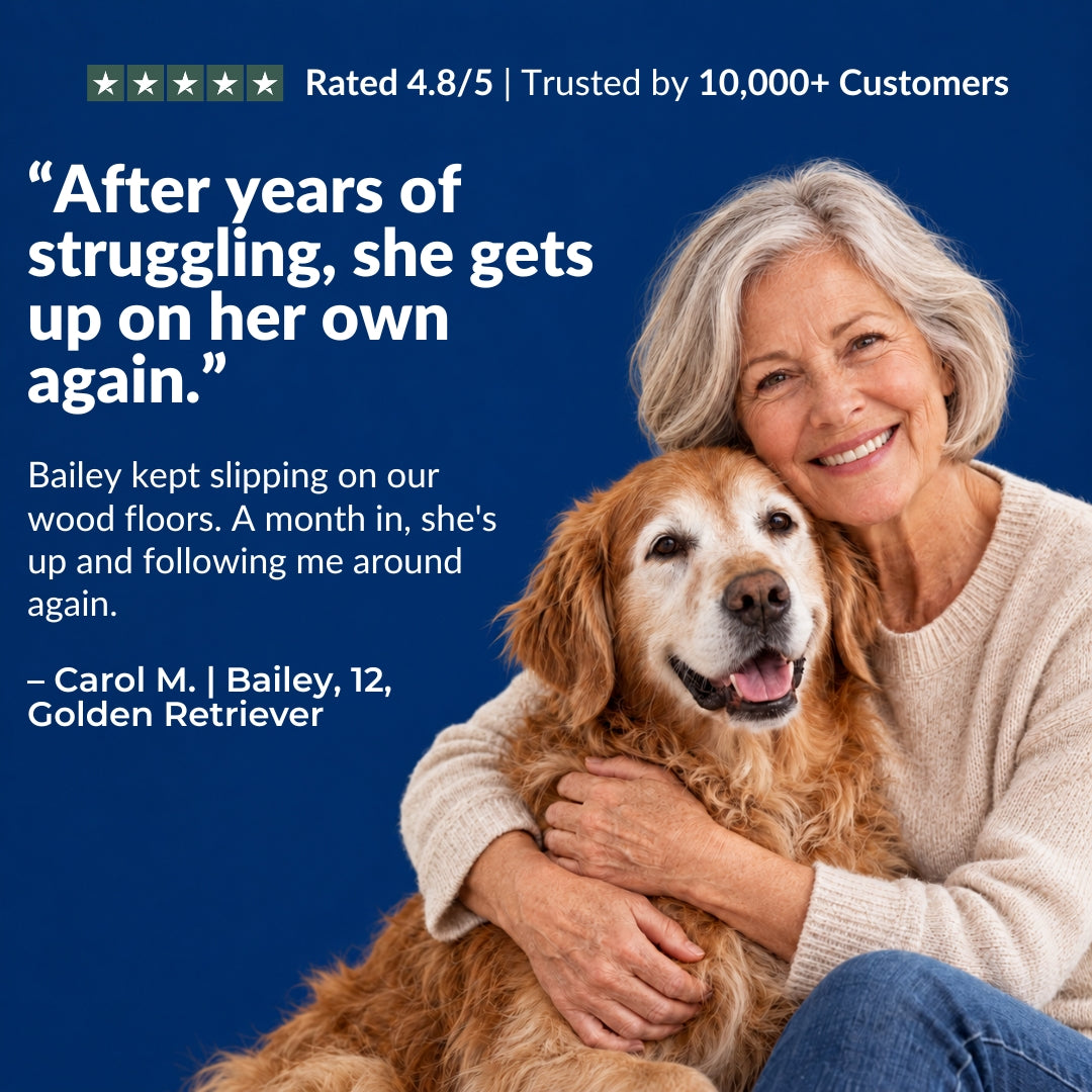 Add Years to Your Dog's Life with Hip & Joint Bites