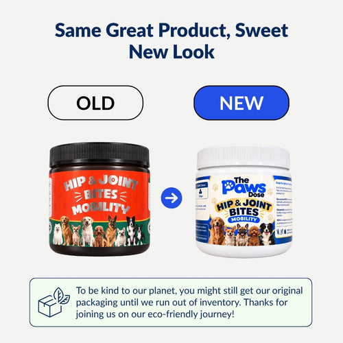 Add Years to Your Dog's Life with Hip & Joint Bites
